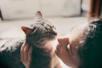 woman with her pet cat - Pet Trust and Estate Planning for Pet Owners Concept